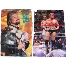 WWF Poster Bundle (Lot Of 16)